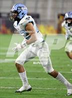 Photo from the gallery "Cactus @ Higley (AIA 5A Final)"