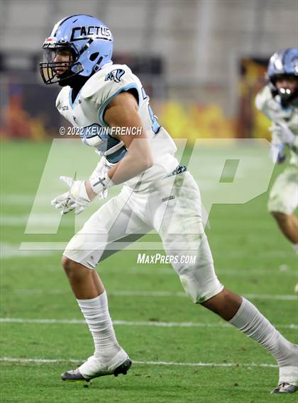 Thumbnail 1 in Cactus @ Higley (AIA 5A Final) photogallery.