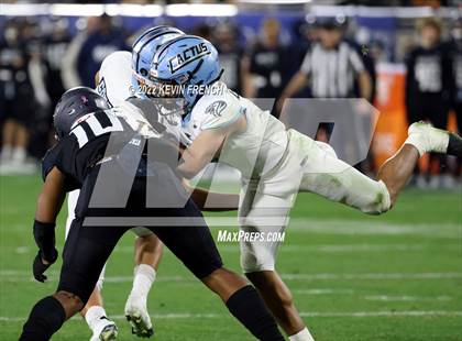 Thumbnail 1 in Cactus @ Higley (AIA 5A Final) photogallery.