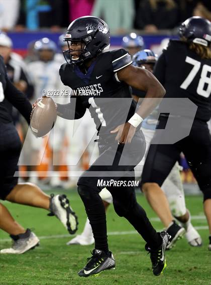 Thumbnail 1 in Cactus @ Higley (AIA 5A Final) photogallery.