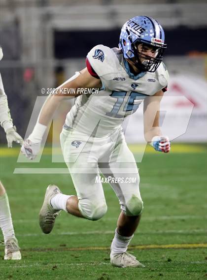 Thumbnail 1 in Cactus @ Higley (AIA 5A Final) photogallery.