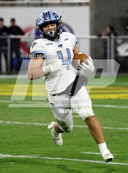 Thumbnail 2 in Cactus @ Higley (AIA 5A Final) photogallery.