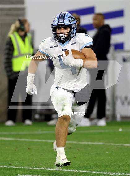 Thumbnail 3 in Cactus @ Higley (AIA 5A Final) photogallery.