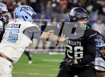 Thumbnail 3 in Cactus @ Higley (AIA 5A Final) photogallery.