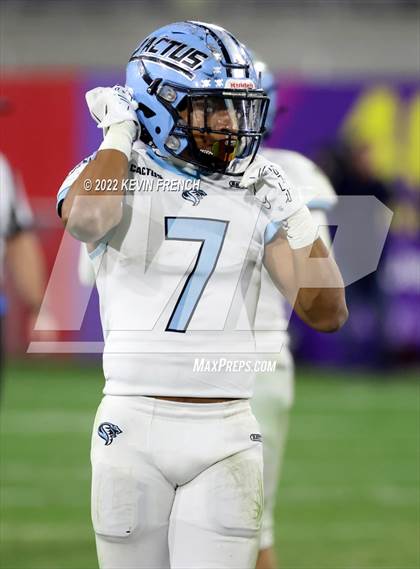 Thumbnail 1 in Cactus @ Higley (AIA 5A Final) photogallery.