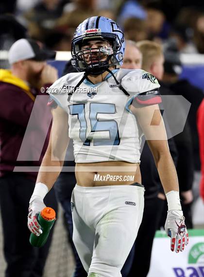 Thumbnail 1 in Cactus @ Higley (AIA 5A Final) photogallery.
