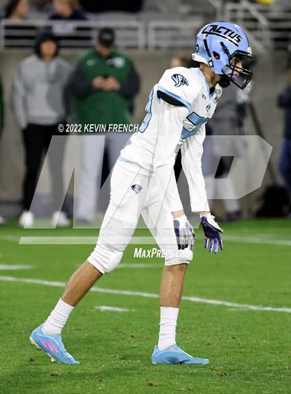 Thumbnail 3 in Cactus @ Higley (AIA 5A Final) photogallery.
