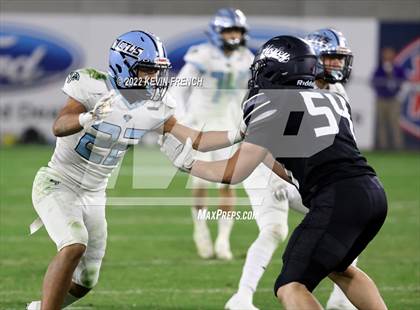 Thumbnail 3 in Cactus @ Higley (AIA 5A Final) photogallery.
