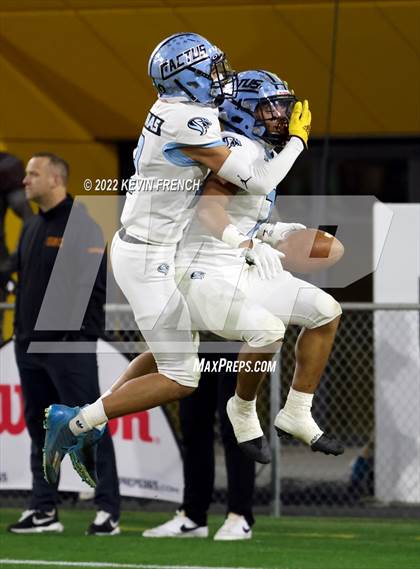 Thumbnail 2 in Cactus @ Higley (AIA 5A Final) photogallery.