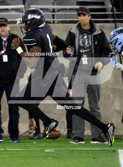 Thumbnail 2 in Cactus @ Higley (AIA 5A Final) photogallery.