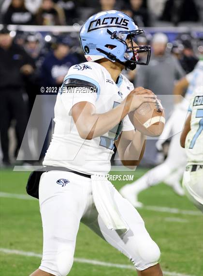 Thumbnail 2 in Cactus @ Higley (AIA 5A Final) photogallery.
