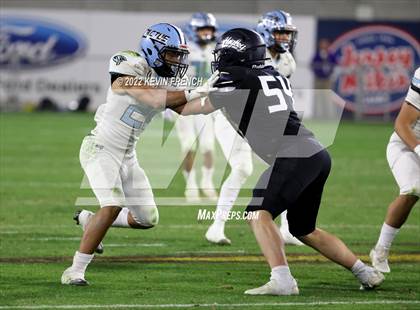 Thumbnail 1 in Cactus @ Higley (AIA 5A Final) photogallery.