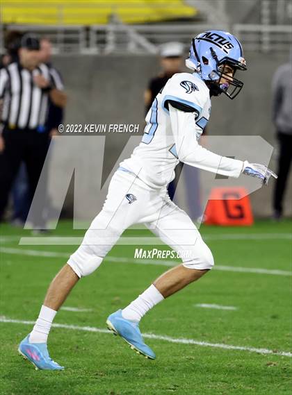 Thumbnail 1 in Cactus @ Higley (AIA 5A Final) photogallery.