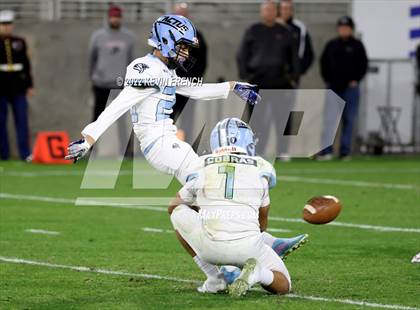 Thumbnail 3 in Cactus @ Higley (AIA 5A Final) photogallery.