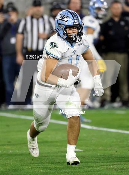 Thumbnail 1 in Cactus @ Higley (AIA 5A Final) photogallery.
