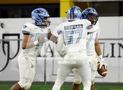 Thumbnail 2 in Cactus @ Higley (AIA 5A Final) photogallery.