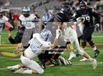 Photo from the gallery "Cactus @ Higley (AIA 5A Final)"