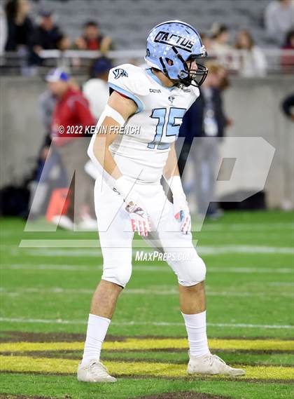 Thumbnail 2 in Cactus @ Higley (AIA 5A Final) photogallery.