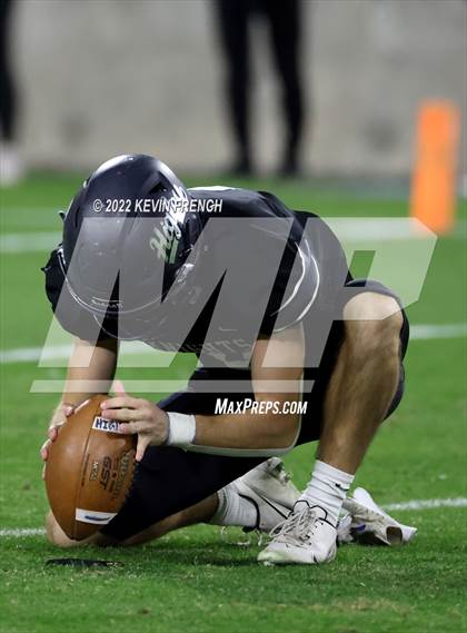 Thumbnail 1 in Cactus @ Higley (AIA 5A Final) photogallery.