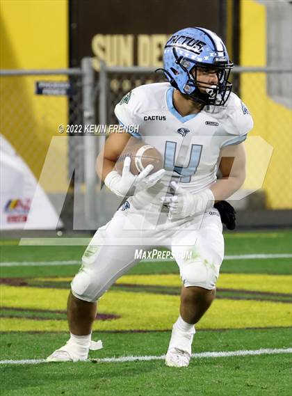 Thumbnail 1 in Cactus @ Higley (AIA 5A Final) photogallery.