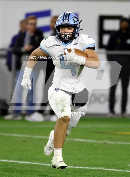 Thumbnail 1 in Cactus @ Higley (AIA 5A Final) photogallery.