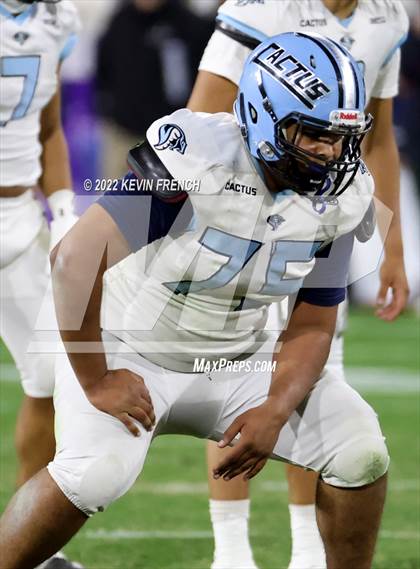 Thumbnail 2 in Cactus @ Higley (AIA 5A Final) photogallery.