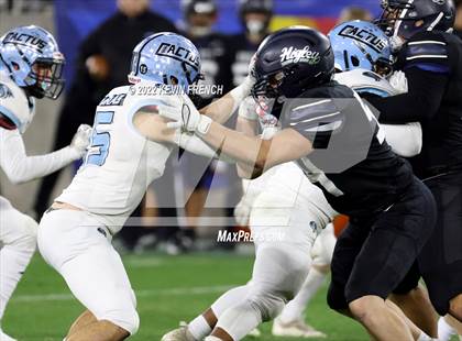 Thumbnail 3 in Cactus @ Higley (AIA 5A Final) photogallery.