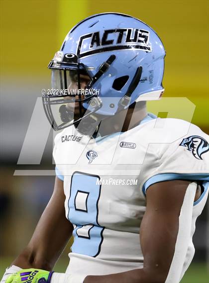 Thumbnail 3 in Cactus @ Higley (AIA 5A Final) photogallery.