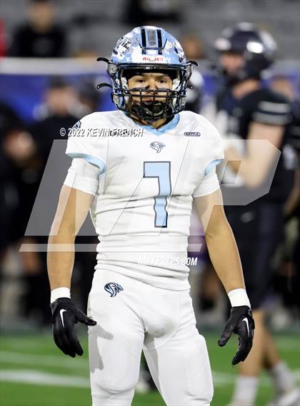 Thumbnail 2 in Cactus @ Higley (AIA 5A Final) photogallery.