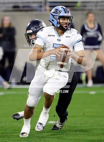 Thumbnail 2 in Cactus @ Higley (AIA 5A Final) photogallery.
