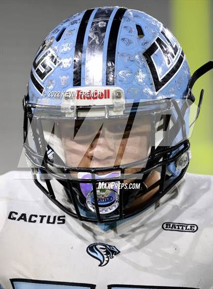 Thumbnail 1 in Cactus @ Higley (AIA 5A Final) photogallery.