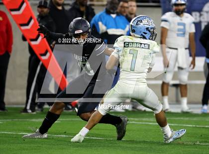Thumbnail 1 in Cactus @ Higley (AIA 5A Final) photogallery.