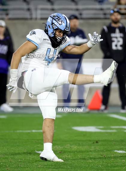 Thumbnail 2 in Cactus @ Higley (AIA 5A Final) photogallery.