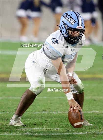 Thumbnail 1 in Cactus @ Higley (AIA 5A Final) photogallery.