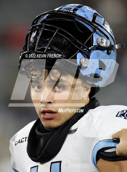 Thumbnail 2 in Cactus @ Higley (AIA 5A Final) photogallery.