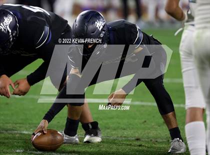 Thumbnail 2 in Cactus @ Higley (AIA 5A Final) photogallery.