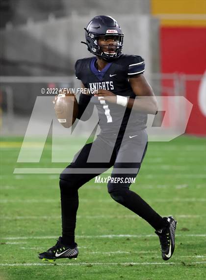 Thumbnail 1 in Cactus @ Higley (AIA 5A Final) photogallery.