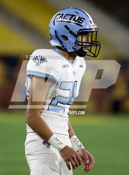 Thumbnail 2 in Cactus @ Higley (AIA 5A Final) photogallery.