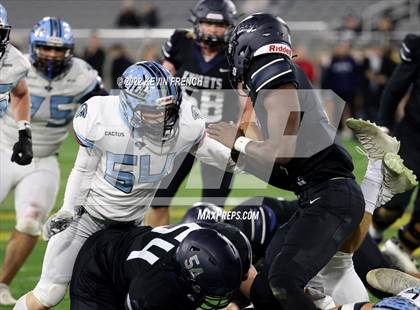 Thumbnail 2 in Cactus @ Higley (AIA 5A Final) photogallery.