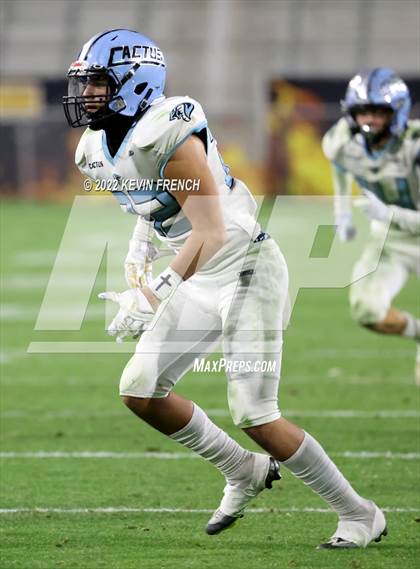 Thumbnail 3 in Cactus @ Higley (AIA 5A Final) photogallery.