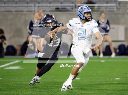 Thumbnail 3 in Cactus @ Higley (AIA 5A Final) photogallery.