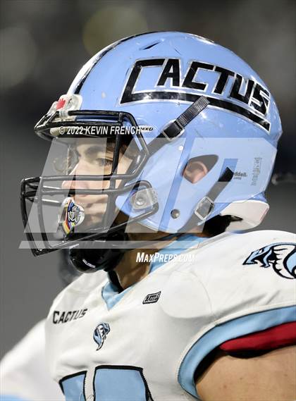 Thumbnail 2 in Cactus @ Higley (AIA 5A Final) photogallery.