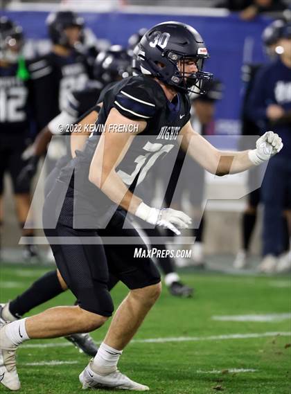 Thumbnail 1 in Cactus @ Higley (AIA 5A Final) photogallery.