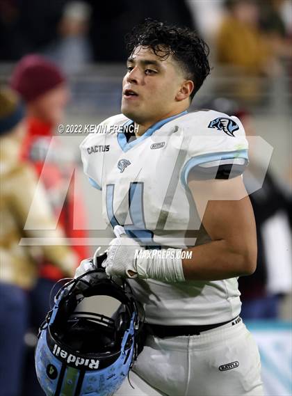 Thumbnail 1 in Cactus @ Higley (AIA 5A Final) photogallery.
