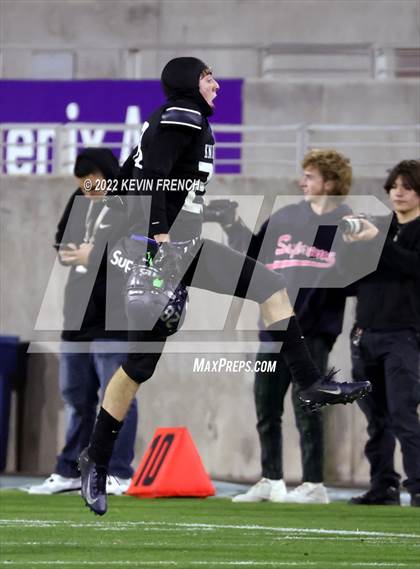 Thumbnail 1 in Cactus @ Higley (AIA 5A Final) photogallery.
