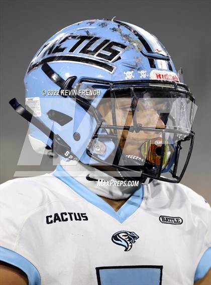 Thumbnail 1 in Cactus @ Higley (AIA 5A Final) photogallery.