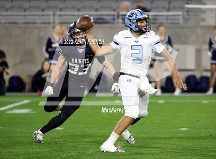 Thumbnail 2 in Cactus @ Higley (AIA 5A Final) photogallery.