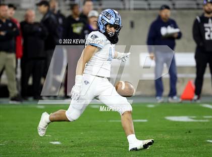 Thumbnail 1 in Cactus @ Higley (AIA 5A Final) photogallery.