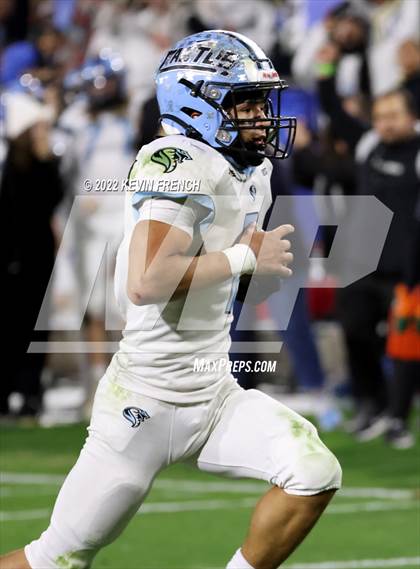 Thumbnail 2 in Cactus @ Higley (AIA 5A Final) photogallery.