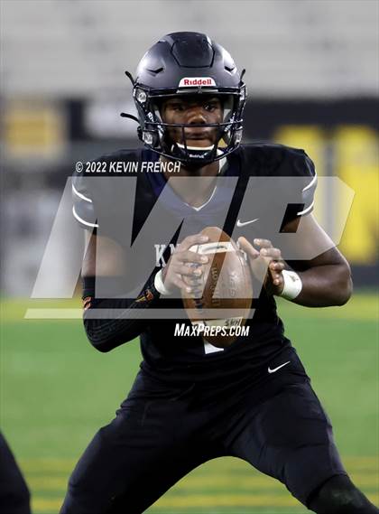 Thumbnail 1 in Cactus @ Higley (AIA 5A Final) photogallery.
